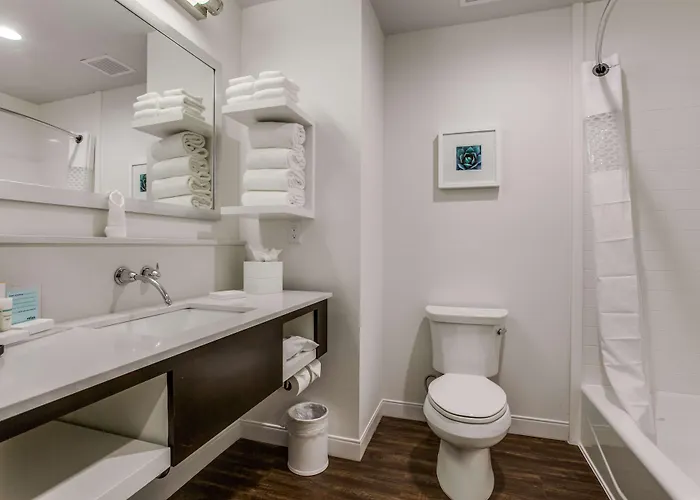 Hampton Inn & Suites Dallas-Central Expy/North Park Area